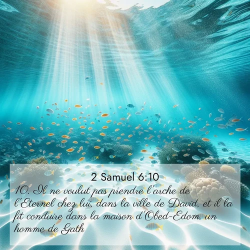 Segond21 2 Samuel  ; image nature: image avec le verset biblique :Il ne voulut pas prendre l&#039;arche de l&#039;Eternel chez lui, dans la ville de David, et il la fit conduire dans la maison d&#039;Obed-Edom, un homme de Gath. ;  ; 6:10
