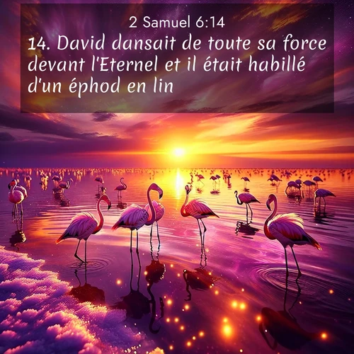 Segond21 2 Samuel  ; image nature: image avec le verset biblique :David dansait de toute sa force devant l&#039;Eternel et il était habillé d&#039;un éphod en lin. ;  ; 6:14