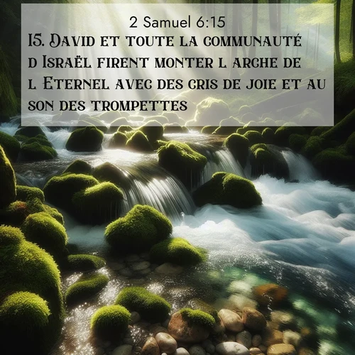 Segond21 2 Samuel  ; image nature: image avec le verset biblique :David et toute la communauté d&#039;Israël firent monter l&#039;arche de l&#039;Eternel avec des cris de joie et au son des trompettes. ;  ; 6:15