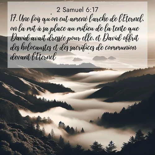 Segond21 2 Samuel  ; image nature: image avec le verset biblique :Une fois qu&#039;on eut amené l&#039;arche de l&#039;Eternel, on la mit à sa place au milieu de la tente que David avait dressée pour elle, et David offrit des holocaustes et des sacrifices de communion devant l&#039;Eternel. ;  ; 6:17