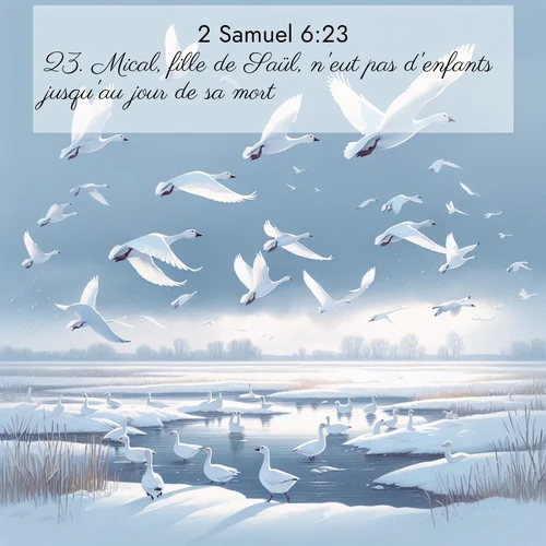 Segond21 2 Samuel  ; image nature: image avec le verset biblique :Mical, fille de Saül, n&#039;eut pas d&#039;enfants jusqu&#039;au jour de sa mort. ;  ; 6:23