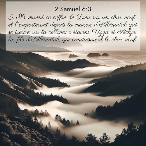 Segond21 2 Samuel  ; image nature: image avec le verset biblique :Ils mirent ce coffre de Dieu sur un char neuf et l&#039;emportèrent depuis la maison d&#039;Abinadab qui se trouve sur la colline; c&#039;étaient Uzza et Achjo, les fils d&#039;Abinadab, qui conduisaient le char neuf. ;  ; 6:3