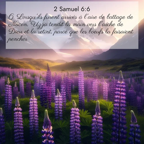 Segond21 2 Samuel  ; image nature: image avec le verset biblique :Lorsqu&#039;ils furent arrivés à l&#039;aire de battage de Nacon, Uzza tendit la main vers l&#039;arche de Dieu et la retint, parce que les boeufs la faisaient pencher. ;  ; 6:6