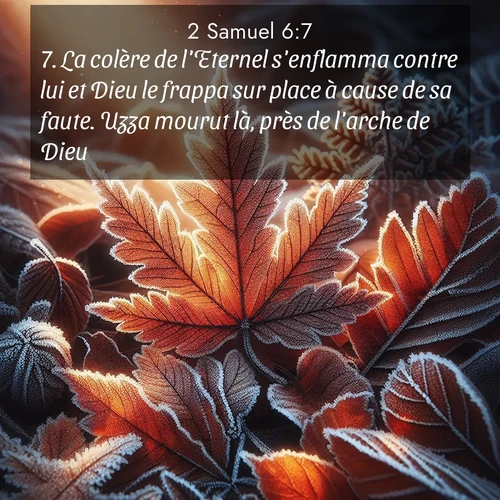 Segond21 2 Samuel  ; image nature: image avec le verset biblique :La colère de l&#039;Eternel s&#039;enflamma contre lui et Dieu le frappa sur place à cause de sa faute. Uzza mourut là, près de l&#039;arche de Dieu. ;  ; 6:7