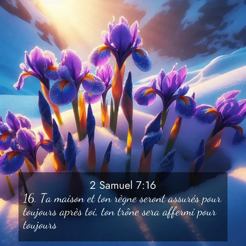 Segond21 2 Samuel  ; image nature: image avec le verset biblique :Ta maison et ton règne seront assurés pour toujours après toi, ton trône sera affermi pour toujours.&#039;» ;  ; 7:16
