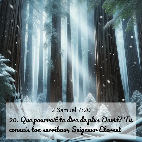 Segond21 2 Samuel  ; image nature: image avec le verset biblique :Que pourrait te dire de plus David? Tu connais ton serviteur, Seigneur Eternel! ;  ; 7:20