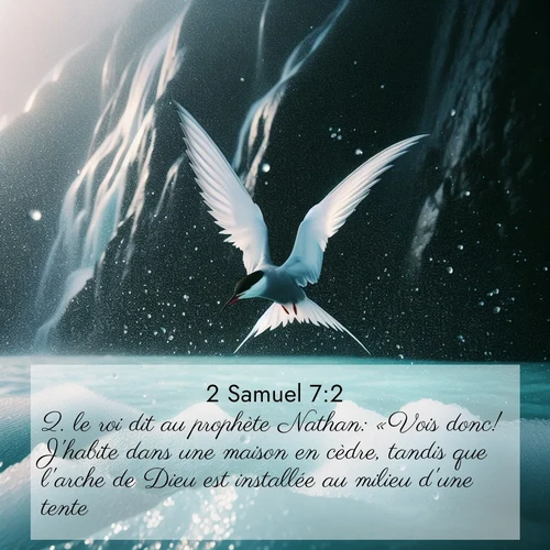 Segond21 2 Samuel  ; image nature: image avec le verset biblique :le roi dit au prophète Nathan: «Vois donc! J&#039;habite dans une maison en cèdre, tandis que l&#039;arche de Dieu est installée au milieu d&#039;une tente.» ;  ; 7:2
