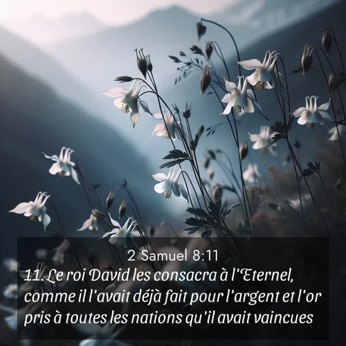 Segond21 2 Samuel  ; image nature: image avec le verset biblique :Le roi David les consacra à l&#039;Eternel, comme il l&#039;avait déjà fait pour l&#039;argent et l&#039;or pris à toutes les nations qu&#039;il avait vaincues ;  ; 8:11