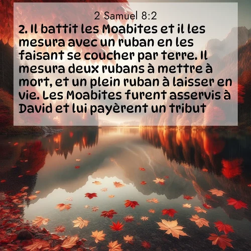 Segond21 2 Samuel  ; image nature: image avec le verset biblique :Il battit les Moabites et il les mesura avec un ruban en les faisant se coucher par terre. Il mesura deux rubans à mettre à mort, et un plein ruban à laisser en vie. Les Moabites furent asservis à David et lui payèrent un tribut. ;  ; 8:2