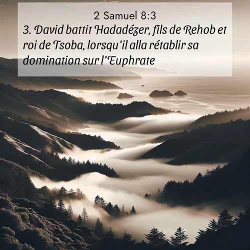 Segond21 2 Samuel  ; image nature: image avec le verset biblique :David battit Hadadézer, fils de Rehob et roi de Tsoba, lorsqu&#039;il alla rétablir sa domination sur l&#039;Euphrate. ;  ; 8:3