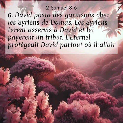 Segond21 2 Samuel  ; image nature: image avec le verset biblique :David posta des garnisons chez les Syriens de Damas. Les Syriens furent asservis à David et lui payèrent un tribut. L&#039;Eternel protégeait David partout où il allait. ;  ; 8:6