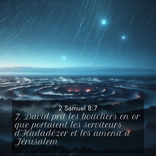 Segond21 2 Samuel  ; image nature: image avec le verset biblique :David prit les boucliers en or que portaient les serviteurs d&#039;Hadadézer et les amena à Jérusalem. ;  ; 8:7