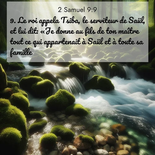Segond21 2 Samuel  ; image nature: image avec le verset biblique :Le roi appela Tsiba, le serviteur de Saül, et lui dit: «Je donne au fils de ton maître tout ce qui appartenait à Saül et à toute sa famille. ;  ; 9:9