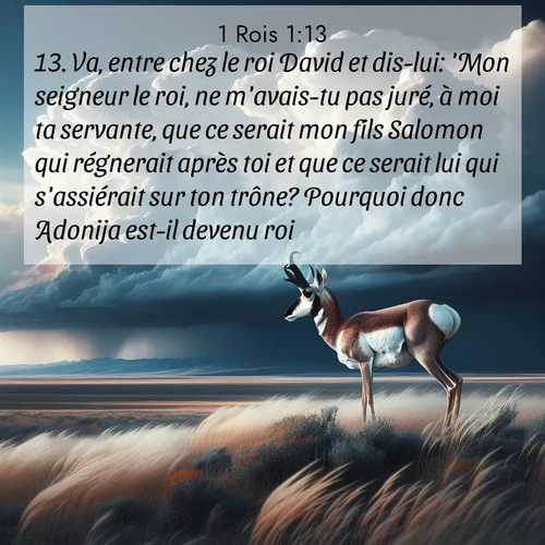 Segond21 1 Rois  ; image nature: image avec le verset biblique :Va, entre chez le roi David et dis-lui: &#039;Mon seigneur le roi, ne m&#039;avais-tu pas juré, à moi ta servante, que ce serait mon fils Salomon qui régnerait après toi et que ce serait lui qui s&#039;assiérait sur ton trône? Pourquoi donc Adonija est-il devenu roi?&#039; ;  ; 1:13