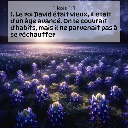 Images liées de la nature avec versets bibliques