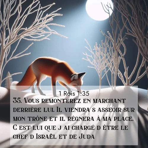 Segond21 1 Rois  ; image nature: image avec le verset biblique :Vous remonterez en marchant derrière lui. Il viendra s&#039;asseoir sur mon trône et il régnera à ma place. C&#039;est lui que j&#039;ai chargé d&#039;être le chef d&#039;Israël et de Juda.» ;  ; 1:35
