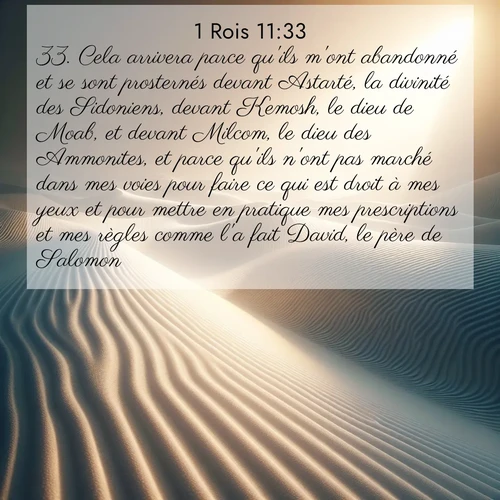 Segond21 1 Rois  ; image nature: image avec le verset biblique :Cela arrivera parce qu&#039;ils m&#039;ont abandonné et se sont prosternés devant Astarté, la divinité des Sidoniens, devant Kemosh, le dieu de Moab, et devant Milcom, le dieu des Ammonites, et parce qu&#039;ils n&#039;ont pas marché dans mes voies pour faire ce qui est droit à mes yeux et pour mettre en pratique mes prescriptions et mes règles comme l&#039;a fait David, le père de Salomon. ;  ; 11:33