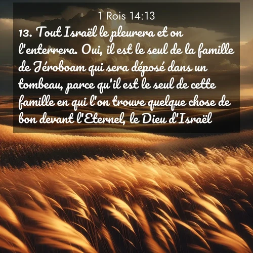 Segond21 1 Rois  ; image nature: image avec le verset biblique :Tout Israël le pleurera et on l&#039;enterrera. Oui, il est le seul de la famille de Jéroboam qui sera déposé dans un tombeau, parce qu&#039;il est le seul de cette famille en qui l&#039;on trouve quelque chose de bon devant l&#039;Eternel, le Dieu d&#039;Israël. ;  ; 14:13