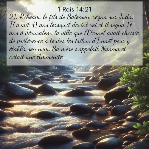 Segond21 1 Rois  ; image nature: image avec le verset biblique :Roboam, le fils de Salomon, régna sur Juda. Il avait 41 ans lorsqu&#039;il devint roi et il régna 17 ans à Jérusalem, la ville que l&#039;Eternel avait choisie de préférence à toutes les tribus d&#039;Israël pour y établir son nom. Sa mère s&#039;appelait Naama et c&#039;était une Ammonite. ;  ; 14:21
