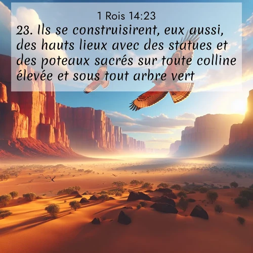 Segond21 1 Rois  ; image nature: image avec le verset biblique :Ils se construisirent, eux aussi, des hauts lieux avec des statues et des poteaux sacrés sur toute colline élevée et sous tout arbre vert. ;  ; 14:23