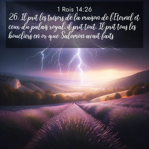 Segond21 1 Rois  ; image nature: image avec le verset biblique :Il prit les trésors de la maison de l&#039;Eternel et ceux du palais royal, il prit tout. Il prit tous les boucliers en or que Salomon avait faits. ;  ; 14:26