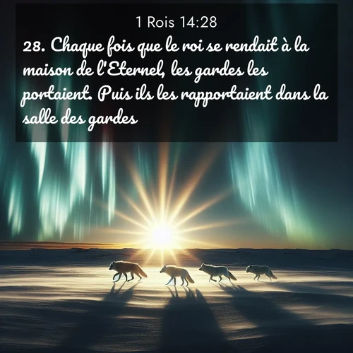Segond21 1 Rois  ; image nature: image avec le verset biblique :Chaque fois que le roi se rendait à la maison de l&#039;Eternel, les gardes les portaient. Puis ils les rapportaient dans la salle des gardes. ;  ; 14:28