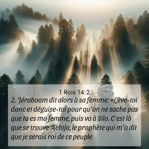 Segond21 1 Rois  ; image nature: image avec le verset biblique :Jéroboam dit alors à sa femme: «Lève-toi donc et déguise-toi pour qu&#039;on ne sache pas que tu es ma femme, puis va à Silo. C&#039;est là que se trouve Achija, le prophète qui m&#039;a dit que je serais roi de ce peuple. ;  ; 14:2