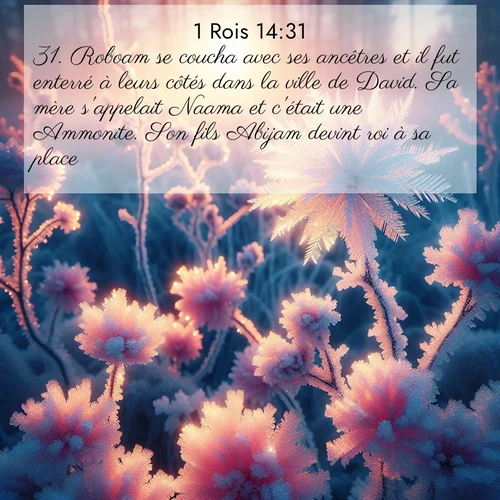 Segond21 1 Rois  ; image nature: image avec le verset biblique :Roboam se coucha avec ses ancêtres et il fut enterré à leurs côtés dans la ville de David. Sa mère s&#039;appelait Naama et c&#039;était une Ammonite. Son fils Abijam devint roi à sa place. ;  ; 14:31
