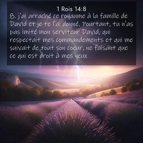 Segond21 1 Rois  ; image nature: image avec le verset biblique :j&#039;ai arraché ce royaume à la famille de David et je te l&#039;ai donné. Pourtant, tu n&#039;as pas imité mon serviteur David, qui respectait mes commandements et qui me suivait de tout son coeur, ne faisant que ce qui est droit à mes yeux. ;  ; 14:8