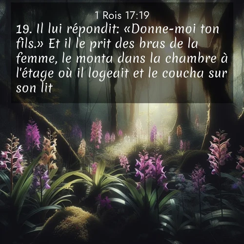 Segond21 1 Rois  ; image nature: image avec le verset biblique :Il lui répondit: «Donne-moi ton fils.» Et il le prit des bras de la femme, le monta dans la chambre à l&#039;étage où il logeait et le coucha sur son lit. ;  ; 17:19