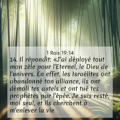 Segond21 1 Rois  ; image nature: image avec le verset biblique :Il répondit: «J&#039;ai déployé tout mon zèle pour l&#039;Eternel, le Dieu de l&#039;univers. En effet, les Israélites ont abandonné ton alliance, ils ont démoli tes autels et ont tué tes prophètes par l&#039;épée. Je suis resté, moi seul, et ils cherchent à m&#039;enlever la vie.» ;  ; 19:14