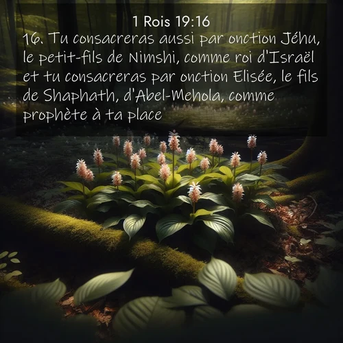 Segond21 1 Rois  ; image nature: image avec le verset biblique :Tu consacreras aussi par onction Jéhu, le petit-fils de Nimshi, comme roi d&#039;Israël et tu consacreras par onction Elisée, le fils de Shaphath, d&#039;Abel-Mehola, comme prophète à ta place. ;  ; 19:16