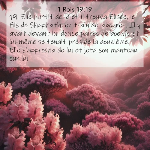 Segond21 1 Rois  ; image nature: image avec le verset biblique :Elie partit de là et il trouva Elisée, le fils de Shaphath, en train de labourer. Il y avait devant lui douze paires de boeufs et lui-même se tenait près de la douzième. Elie s&#039;approcha de lui et jeta son manteau sur lui. ;  ; 19:19
