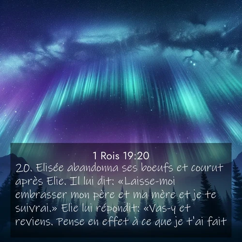 Segond21 1 Rois  ; image nature: image avec le verset biblique :Elisée abandonna ses boeufs et courut après Elie. Il lui dit: «Laisse-moi embrasser mon père et ma mère et je te suivrai.» Elie lui répondit: «Vas-y et reviens. Pense en effet à ce que je t&#039;ai fait.» ;  ; 19:20