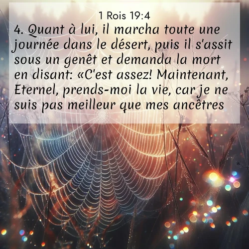 Segond21 1 Rois  ; image nature: image avec le verset biblique :Quant à lui, il marcha toute une journée dans le désert, puis il s&#039;assit sous un genêt et demanda la mort en disant: «C&#039;est assez! Maintenant, Eternel, prends-moi la vie, car je ne suis pas meilleur que mes ancêtres.» ;  ; 19:4