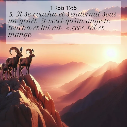 Segond21 1 Rois  ; image nature: image avec le verset biblique :Il se coucha et s&#039;endormit sous un genêt. Et voici qu&#039;un ange le toucha et lui dit: «Lève-toi et mange.» ;  ; 19:5