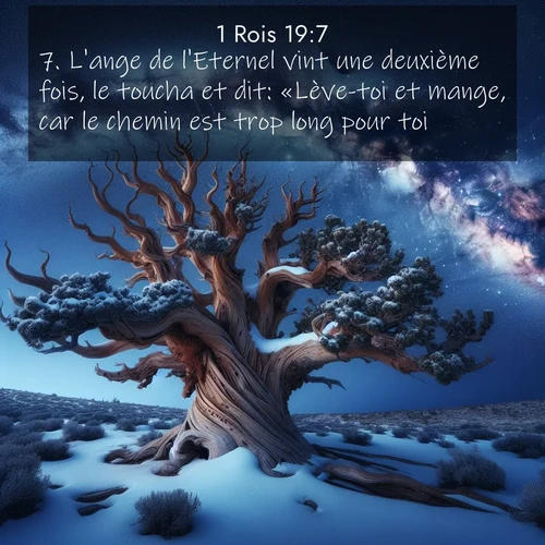 Segond21 1 Rois  ; image nature: image avec le verset biblique :L&#039;ange de l&#039;Eternel vint une deuxième fois, le toucha et dit: «Lève-toi et mange, car le chemin est trop long pour toi.» ;  ; 19:7