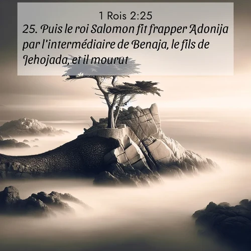 Segond21 1 Rois  ; image nature: image avec le verset biblique :Puis le roi Salomon fit frapper Adonija par l&#039;intermédiaire de Benaja, le fils de Jehojada, et il mourut. ;  ; 2:25