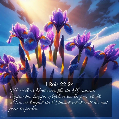 Segond21 1 Rois  ; image nature: image avec le verset biblique :Alors Sédécias, fils de Kenaana, s&#039;approcha, frappa Michée sur la joue et dit: «Par où l&#039;esprit de l&#039;Eternel est-il sorti de moi pour te parler?» ;  ; 22:24