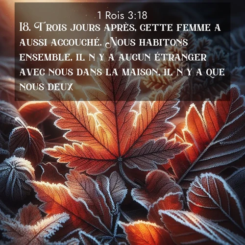 Segond21 1 Rois  ; image nature: image avec le verset biblique :Trois jours après, cette femme a aussi accouché. Nous habitons ensemble, il n&#039;y a aucun étranger avec nous dans la maison, il n&#039;y a que nous deux. ;  ; 3:18