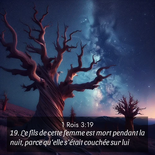 Segond21 1 Rois  ; image nature: image avec le verset biblique :Le fils de cette femme est mort pendant la nuit, parce qu&#039;elle s&#039;était couchée sur lui. ;  ; 3:19