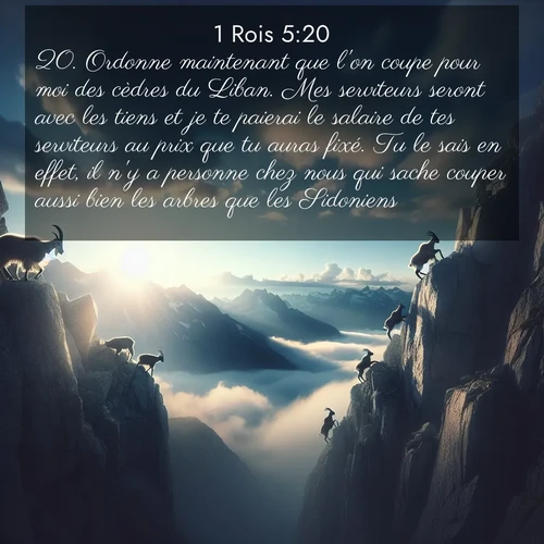 Segond21 1 Rois  ; image nature: image avec le verset biblique :Ordonne maintenant que l&#039;on coupe pour moi des cèdres du Liban. Mes serviteurs seront avec les tiens et je te paierai le salaire de tes serviteurs au prix que tu auras fixé. Tu le sais en effet, il n&#039;y a personne chez nous qui sache couper aussi bien les arbres que les Sidoniens.» ;  ; 5:20