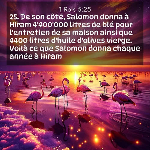 Segond21 1 Rois  ; image nature: image avec le verset biblique :De son côté, Salomon donna à Hiram 4&#039;400&#039;000 litres de blé pour l&#039;entretien de sa maison ainsi que 4400 litres d&#039;huile d&#039;olives vierge. Voilà ce que Salomon donna chaque année à Hiram. ;  ; 5:25