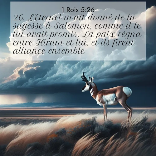 Segond21 1 Rois  ; image nature: image avec le verset biblique :L&#039;Eternel avait donné de la sagesse à Salomon, comme il le lui avait promis. La paix régna entre Hiram et lui, et ils firent alliance ensemble. ;  ; 5:26