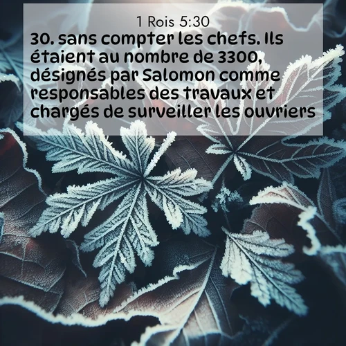 Segond21 1 Rois  ; image nature: image avec le verset biblique :sans compter les chefs. Ils étaient au nombre de 3300, désignés par Salomon comme responsables des travaux et chargés de surveiller les ouvriers. ;  ; 5:30