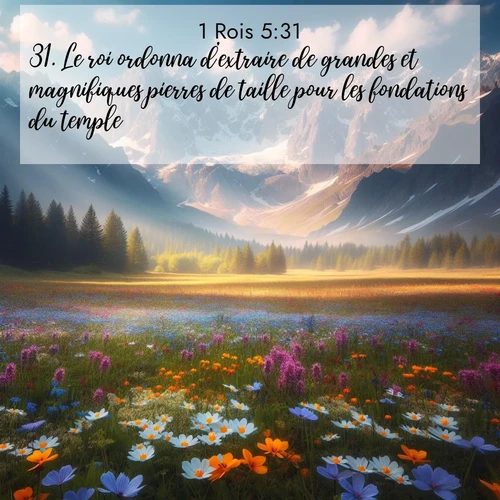Segond21 1 Rois  ; image nature: image avec le verset biblique :Le roi ordonna d&#039;extraire de grandes et magnifiques pierres de taille pour les fondations du temple. ;  ; 5:31