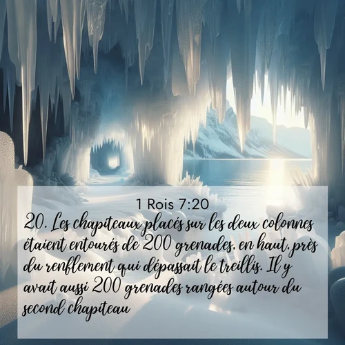 Segond21 1 Rois  ; image nature: image avec le verset biblique :Les chapiteaux placés sur les deux colonnes étaient entourés de 200 grenades, en haut, près du renflement qui dépassait le treillis. Il y avait aussi 200 grenades rangées autour du second chapiteau. ;  ; 7:20