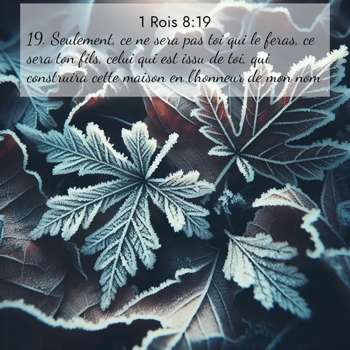 Segond21 1 Rois  ; image nature: image avec le verset biblique :Seulement, ce ne sera pas toi qui le feras, ce sera ton fils, celui qui est issu de toi, qui construira cette maison en l&#039;honneur de mon nom.&#039; ;  ; 8:19
