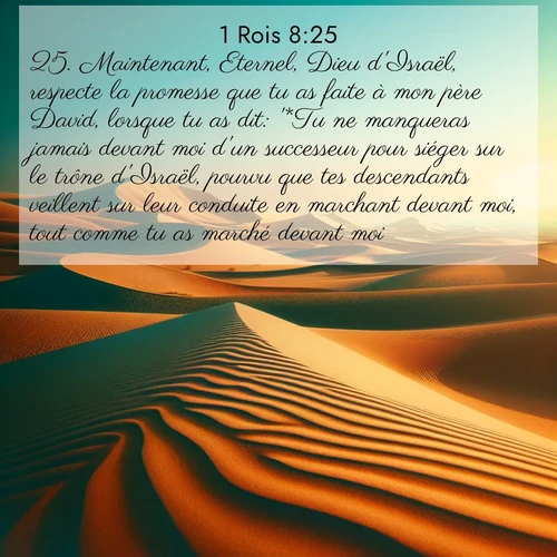 Segond21 1 Rois  ; image nature: image avec le verset biblique :Maintenant, Eternel, Dieu d&#039;Israël, respecte la promesse que tu as faite à mon père David, lorsque tu as dit: &#039;*Tu ne manqueras jamais devant moi d&#039;un successeur pour siéger sur le trône d&#039;Israël, pourvu que tes descendants veillent sur leur conduite en marchant devant moi, tout comme tu as marché devant moi.&#039; ;  ; 8:25