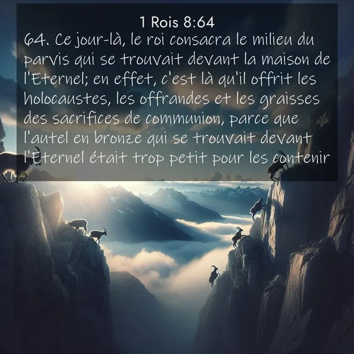 Segond21 1 Rois  ; image nature: image avec le verset biblique :Ce jour-là, le roi consacra le milieu du parvis qui se trouvait devant la maison de l&#039;Eternel; en effet, c&#039;est là qu&#039;il offrit les holocaustes, les offrandes et les graisses des sacrifices de communion, parce que l&#039;autel en bronze qui se trouvait devant l&#039;Eternel était trop petit pour les contenir. ;  ; 8:64